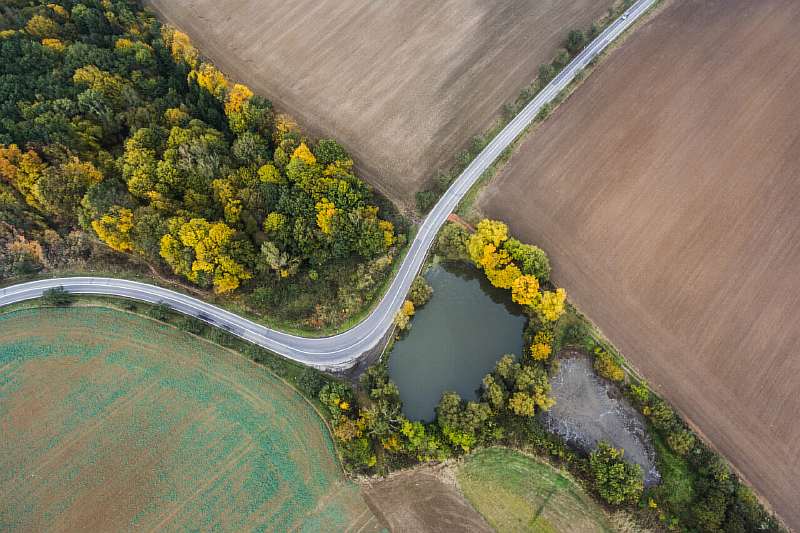 Бизнес на выращивании кукурузы Бизнес на выращивании кукурузы