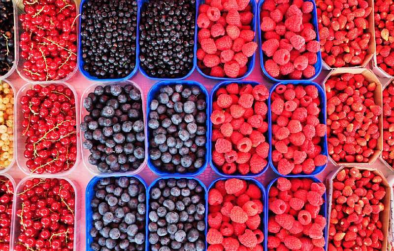 Открытие бизнеса по торговле экопродуктами Открытие бизнеса по торговле экопродуктами