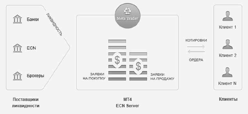 Что такое ECN-счет на рынке Форекс